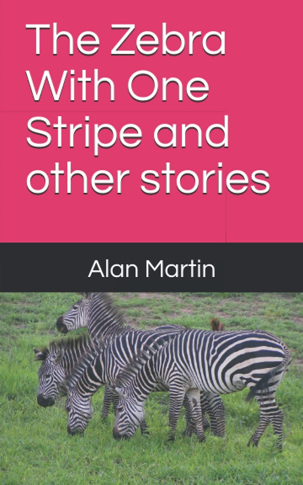 The Zebra With One Stripe and other stories