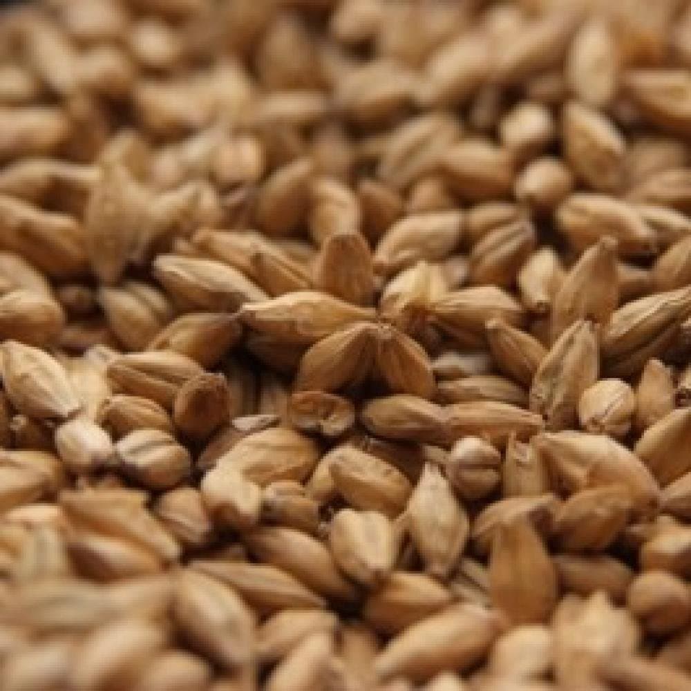 Muntons Lager Malt 10 lb