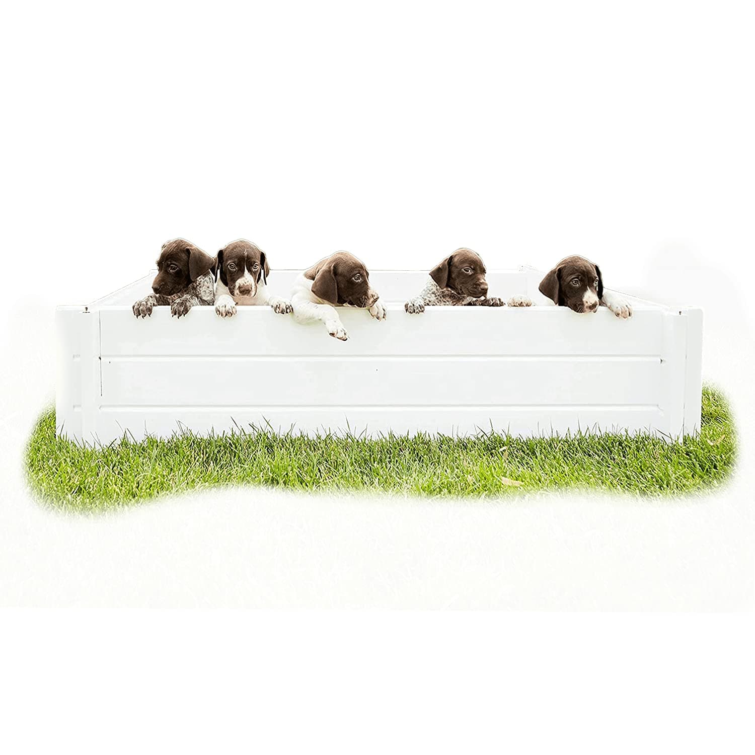 Whelping Box for Puppies - 48” x 48” - White Large Vinyl Plastic Whelping Box & Puppy Playpen, Good for All Animals - Indoors & Outdoors - 48”L x 48”W x 11”H