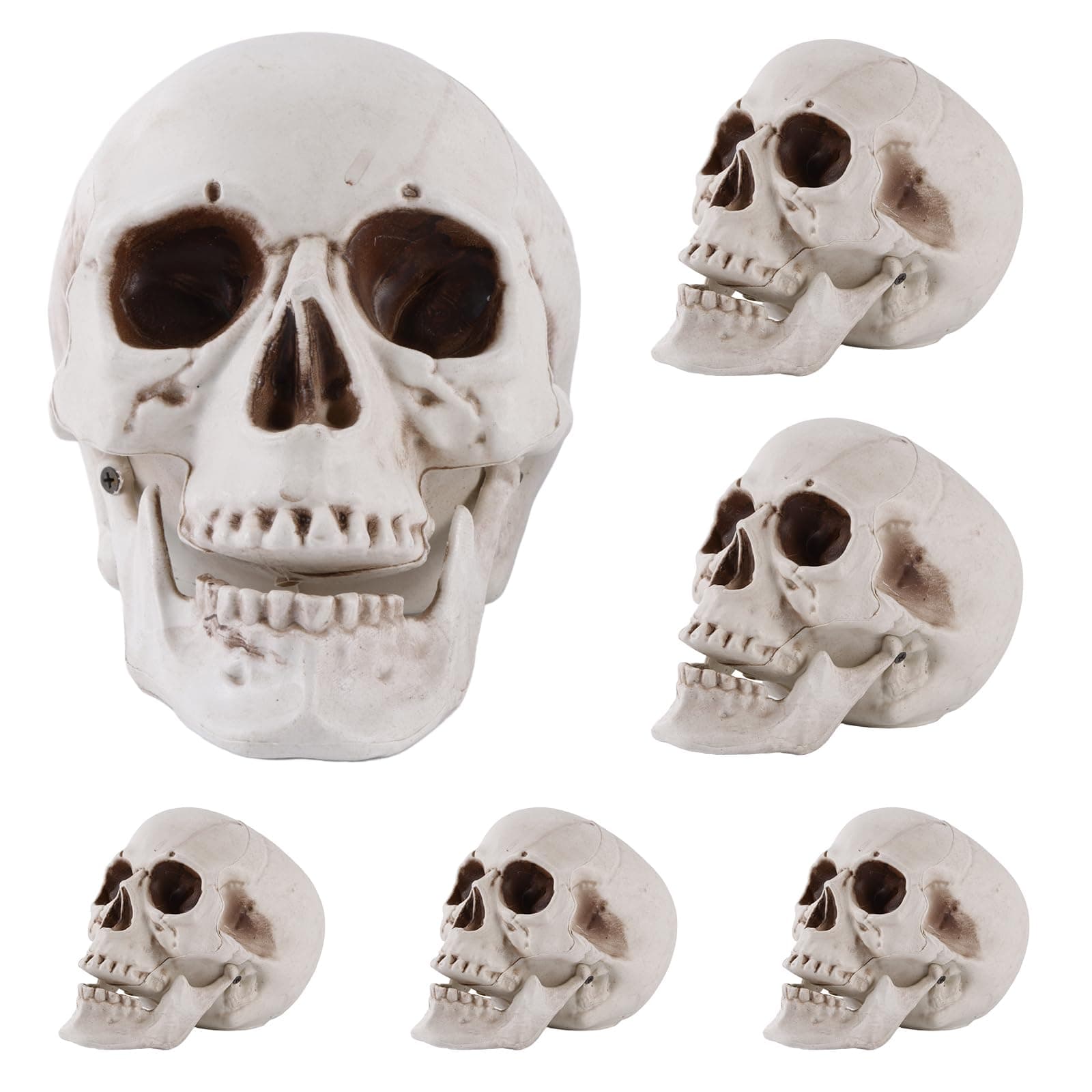 6 Pcs Halloween Human Skull Realistic Skeleton Decorations Head Skull Decor Human Head Bone Skull for Statue Halloween Outdoor Decor, 3 Size,8inch,6inch,4inch