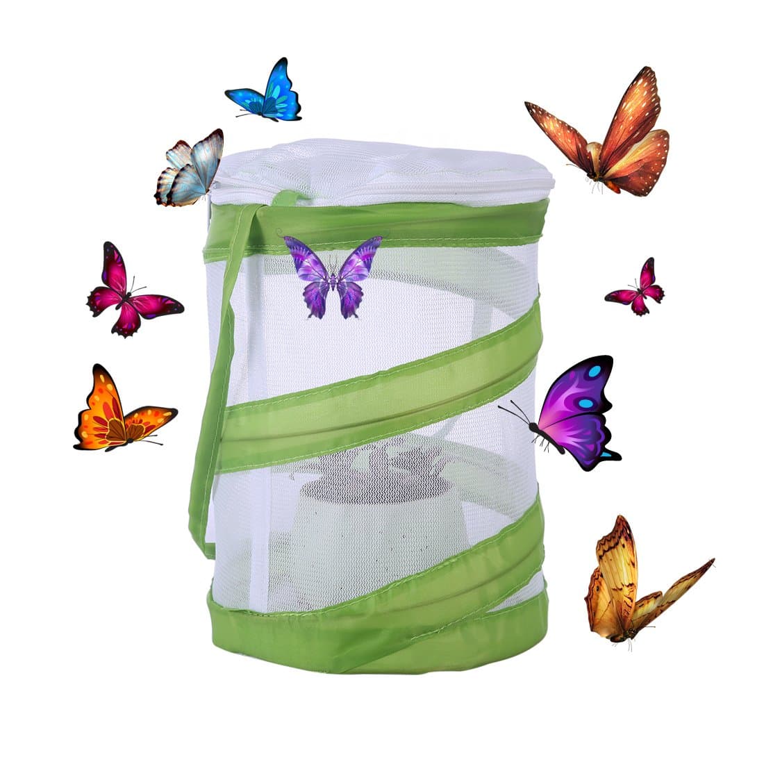 Tosbess Educational Games – Butterfly Breeding Kit – Butterfly Breeding