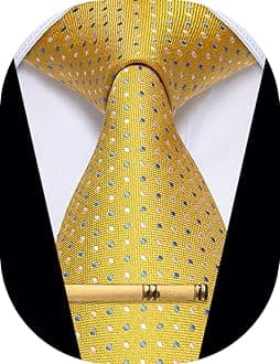 YourTies Men's Neckties Striped Tie and Plaid Neckties for Men Woven Silk Tie Gold Tie Clip Set