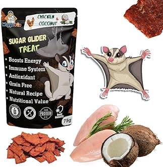 WiggleBoo Chicken & Coconut Suger Glider Treat | Protein Rich | Fiber Rich | Crunchy Healthy Snacks | Training Treat | 75gm, All Life Stages, Chips