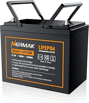 12V 100Ah Lithium LiFePO4 Deep Cycle Battery, 4000+ Cycles Lithium Iron Phosphate Rechargeable Battery for Solar, RV, Marine, Home Energy Storage, Off-Grid Applications Built-in 100A BMS