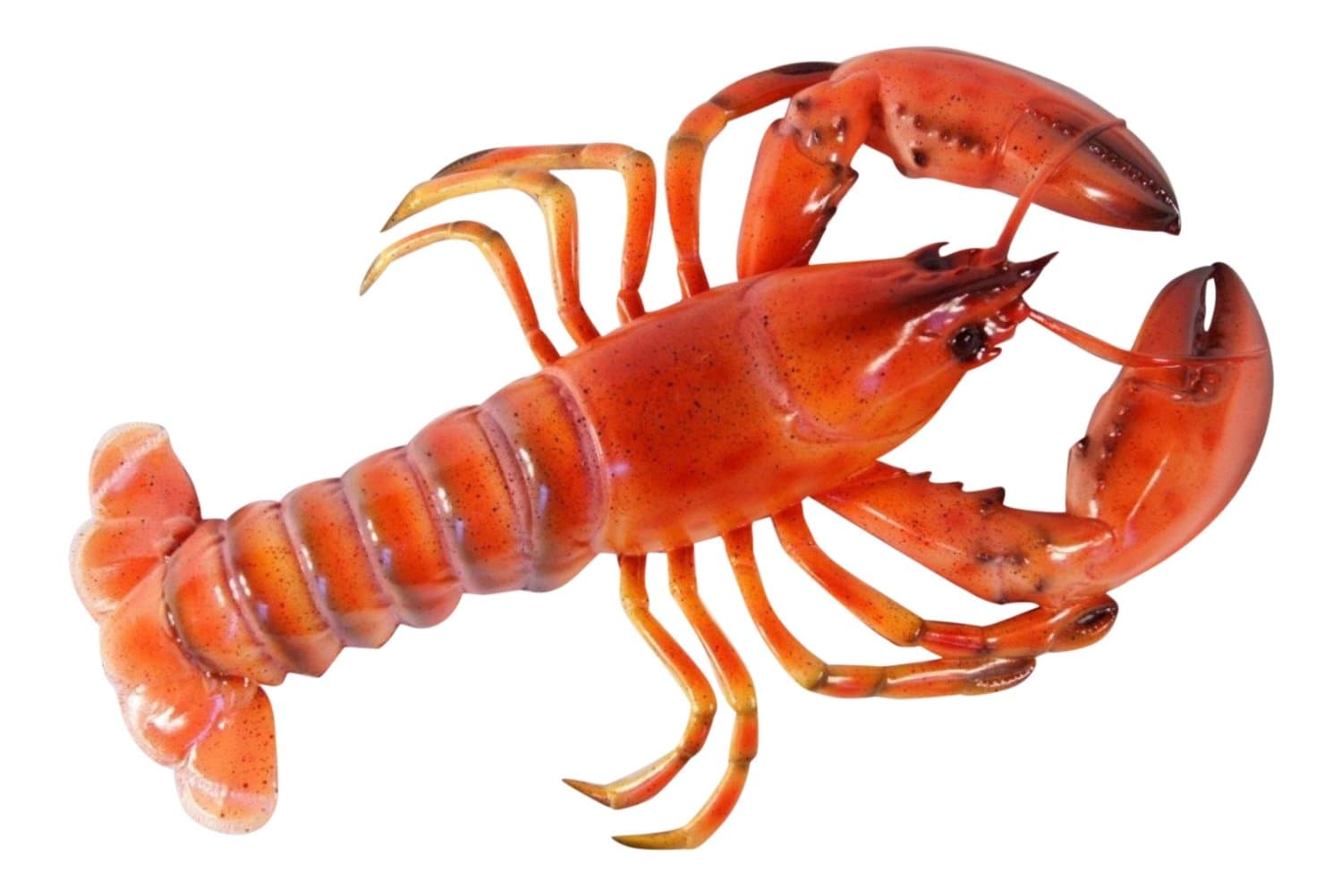 Charlotte Handpainted Red Lobster Wall Mount Decor Plaque 18"