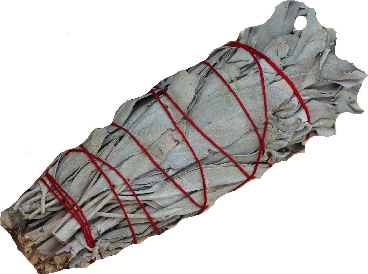 Single Small (5"-6") White Sage Smudging Stick - Ceremonial - SK White Sage INC.