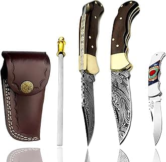 Rose Wood Unique Beautiful 6.5'' Custom Handmade Damascus Steel Brass Bolster Back Lock Folding Pocket Knife Sharpening Rod 100% Prime Quality Plus Beautiful Buffalo Horn Stainless Steel Pocket Knive