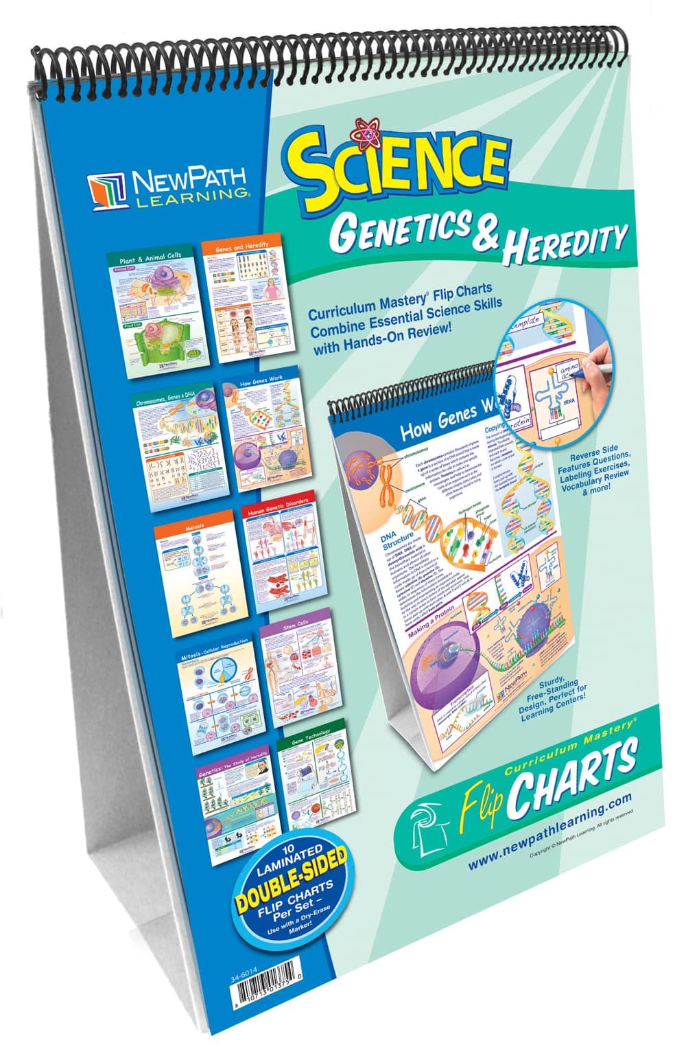 34-6014 10 Piece Science Genetics and Heredity Curriculum Mastery Flip Chart Set, Grade 6-10