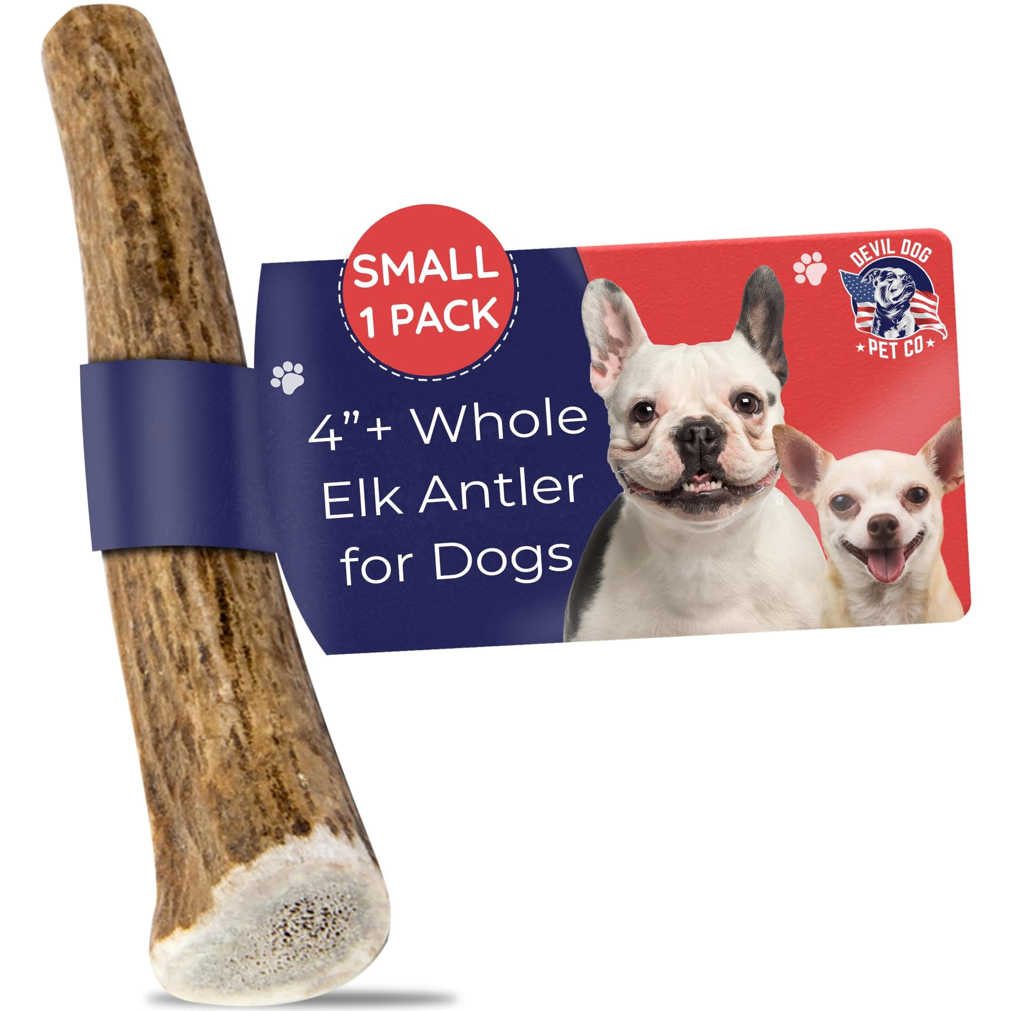 Devil Dog Pet Co. Elk Antlers for Dogs, Small 4"+, 1 Pack, Grade A Long Lasting Chew for Aggressive Chewers, Premium USA Naturally Shed Antler – Healthy, No Odor, Durable Dog Chew