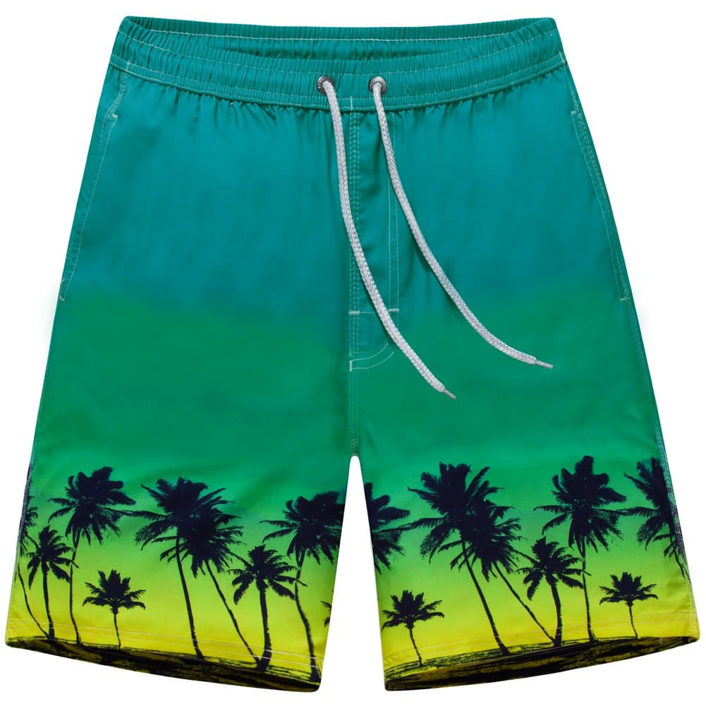 Men's Quick-Drying Boardshorts Tropical Design Swimming Trunks (US M, Style 1)