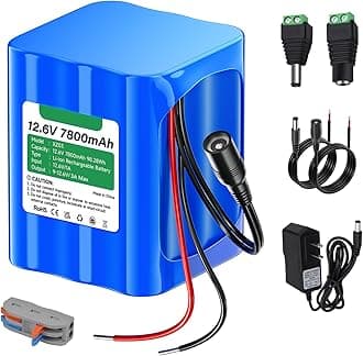 12V Rechargeable Battery 7800mAh with Charger, Bare Leads Wire Battery Pack Compatible with 12V Devices, DIY Projects, Speakers, RC Car, Solar Panels, LED Light Strip, CCTV Camera, etc