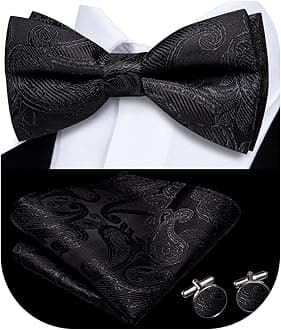 Dubulle Mens Paisley Striped Bowtie Set Pre-tied Bowtie for Men and Pocket Square Set Wedding Business