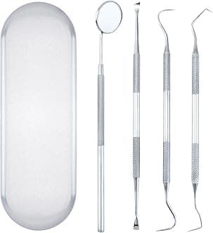 Quacc 4 PCS Dental Tools Oral Hygiene Kit Stainless Steel Dental Pick Tartar Scraper Teeth Cleaner Plaque Removal Tools for Dentist Personal Pet Care with Storage Box