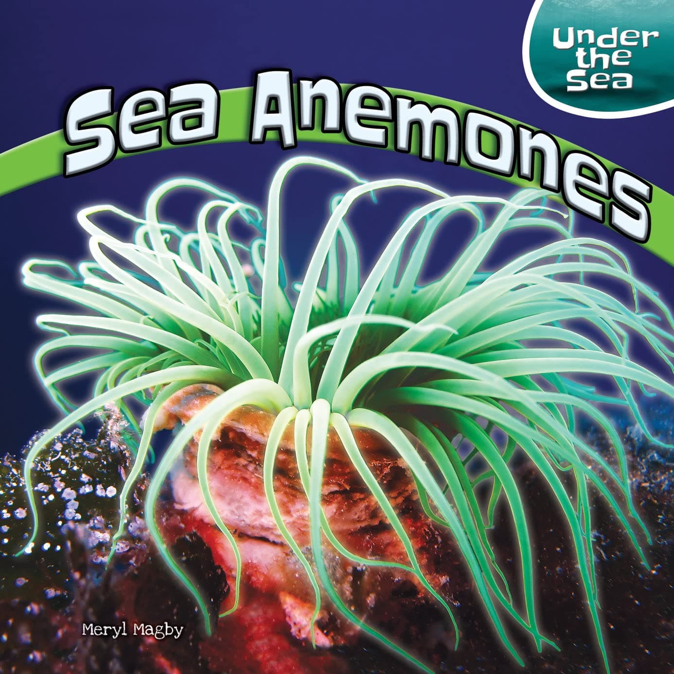 Sea Anemones (Under the Sea)