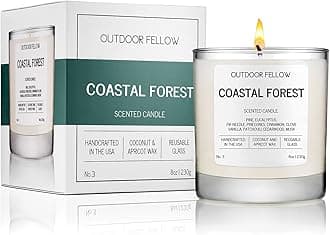 Outdoor Fellow Coastal Forest Scented Candle, 8oz, Coconut & Apricot Wax Blend, Pine, Eucalyptus, Cedarwood, Reusable Glass, 40-50 Hour Burn Time
