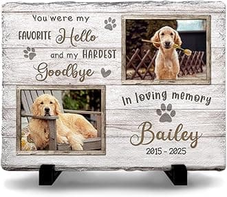 Multicolored Pet Memorial Stones for Dogs Personalized - 'You were My Favorite Hello and My Hardest Goodbye' - Unique Photo Frame Gifts for Cat Dog Lover, Garden Decor for Cemetery