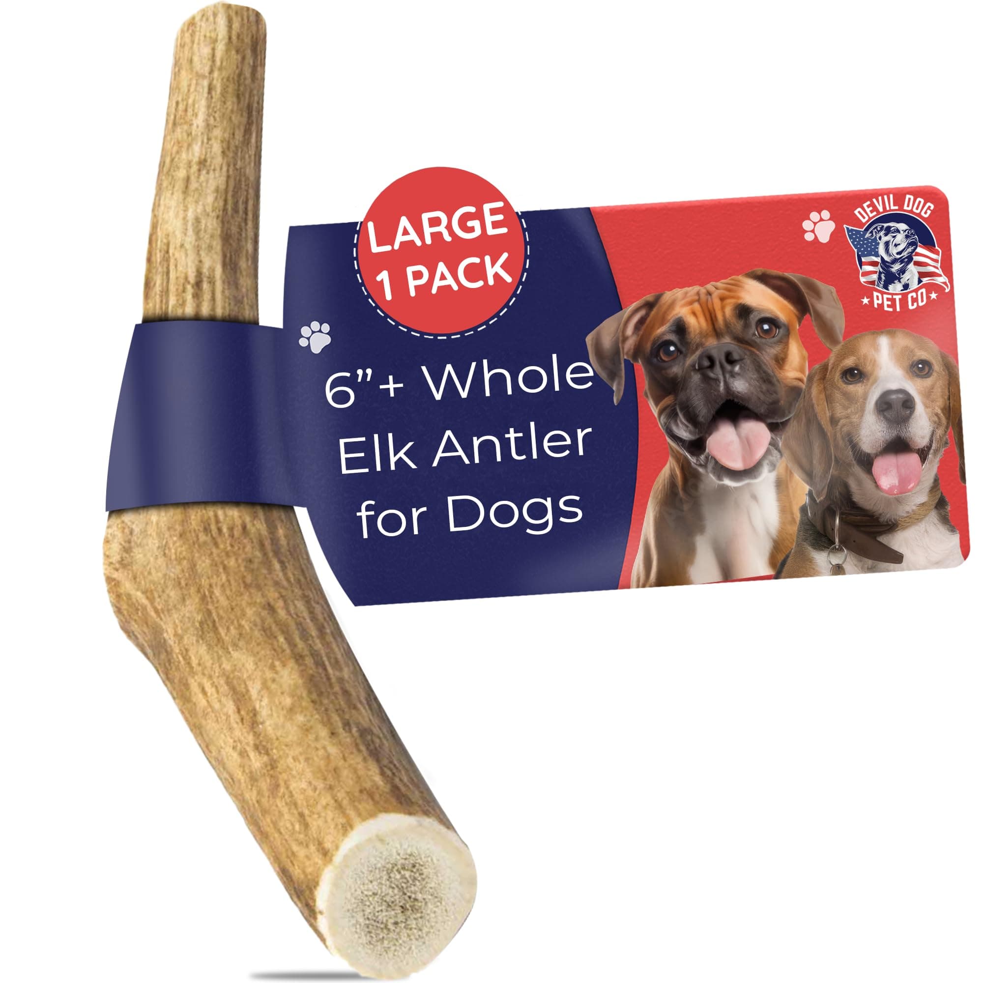 Devil Dog Pet Co - Elk Antler for Dogs Large - Long Lasting Natural Dog Chew for Aggressive Chewers, Medium Breeds - Naturally Shed Grade A Rocky Mountain Elk, Reduces Anxiety & Boredom (35-60 lbs)