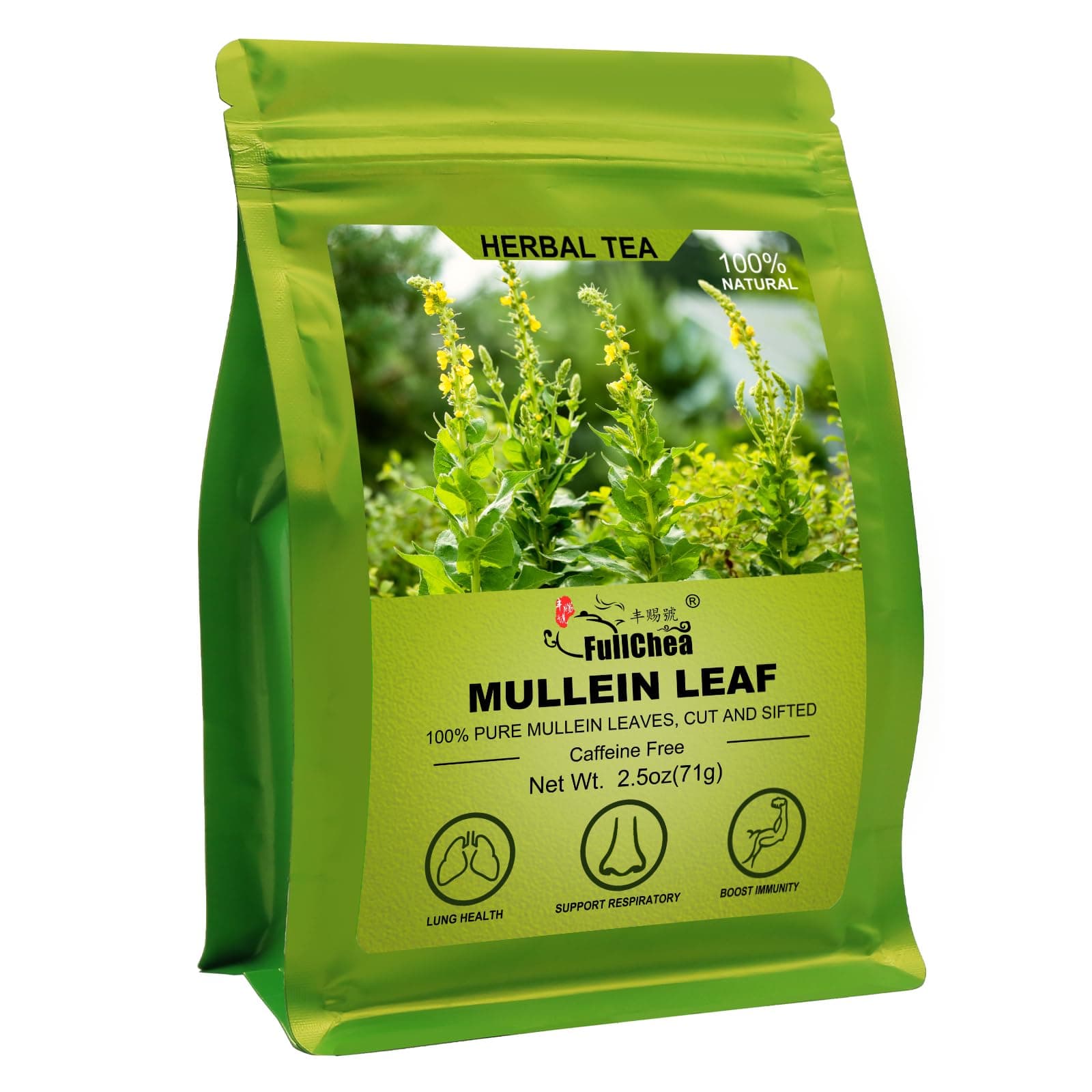 Mullein Leaf Tea