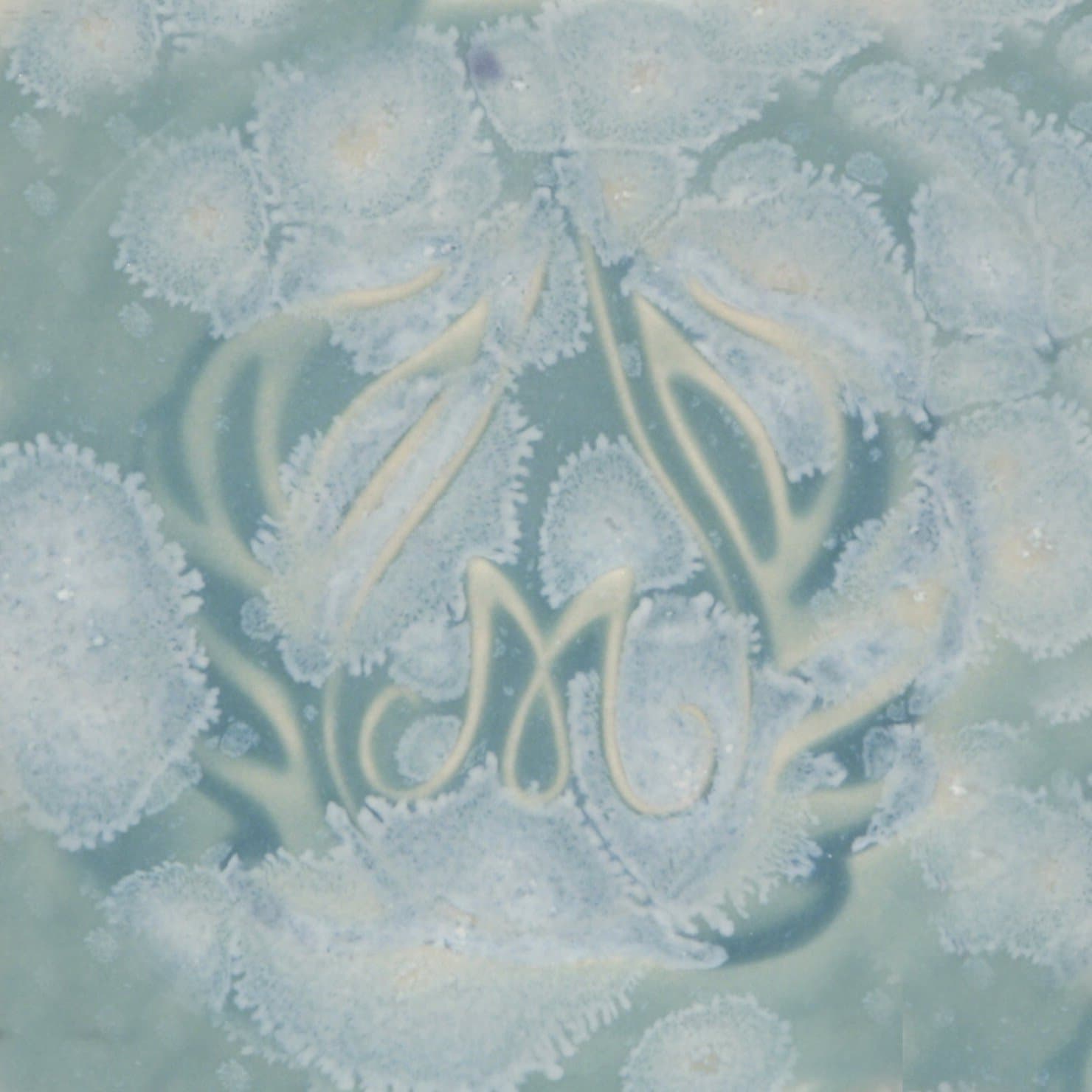 Stoneware Crystal Glaze, Celadon Bloom SW150, 1 Pint