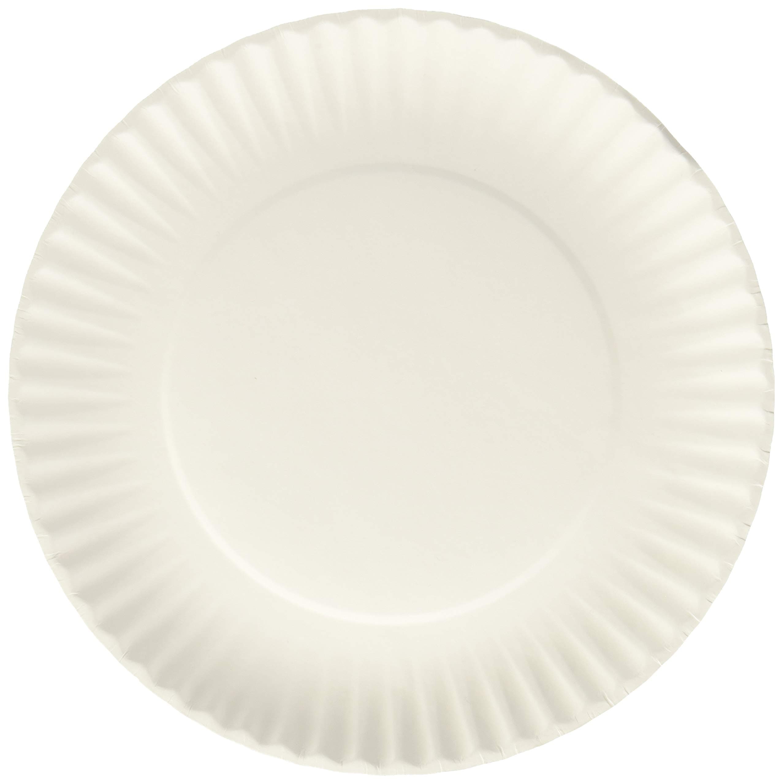 Nicole Home Collection 100 Count Everyday Dinnerware Paper Plate, 9-Inch, White (200 Count)