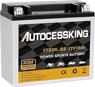 YTX20L-BS 12V 18AH Motorcycle Battery, Rechargeable Sealed AGM Battery Maintenance Free Powersport Replacement Battery for ATV and Scooter