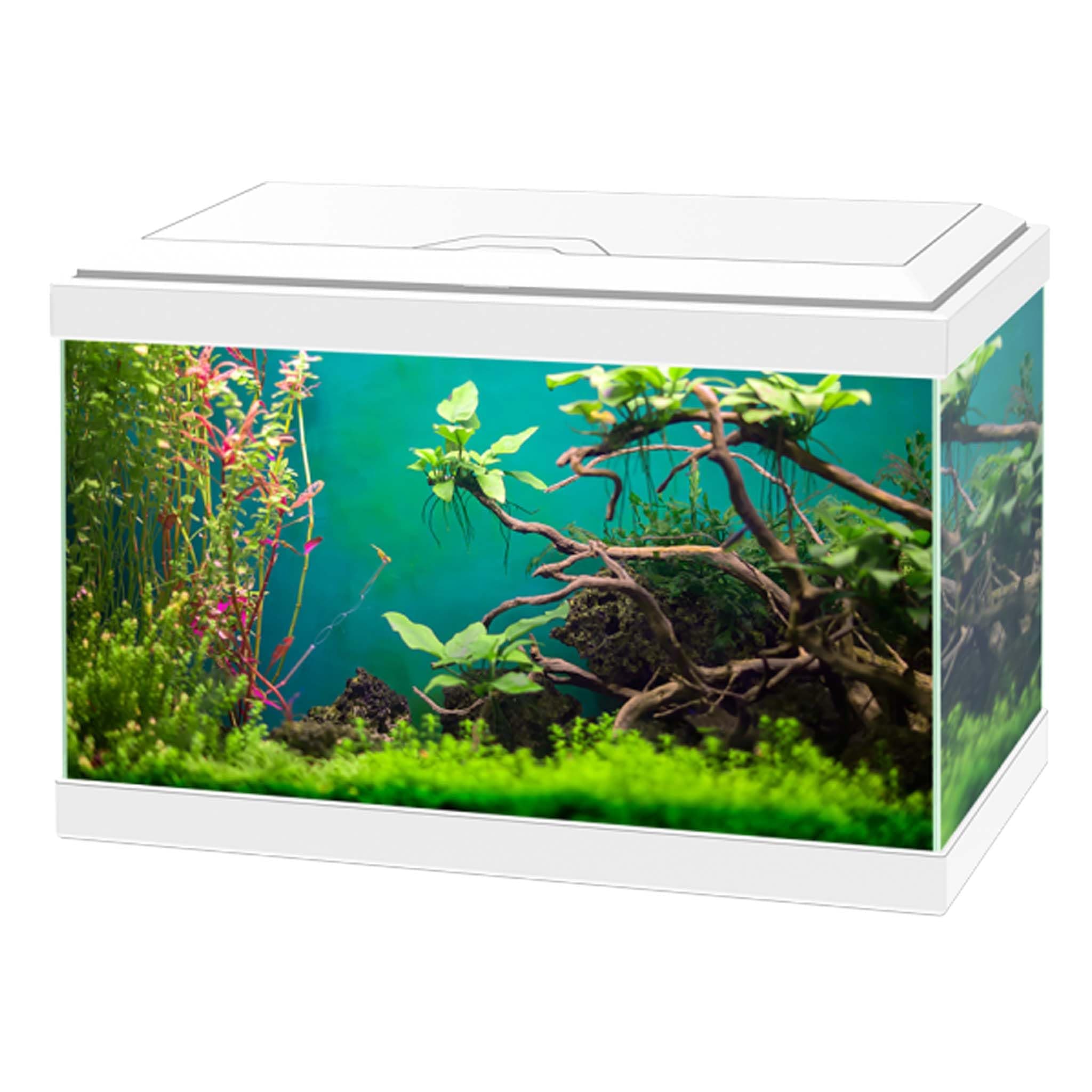 Ciano Aqua 20 Classic Aquarium Fish Tank - White