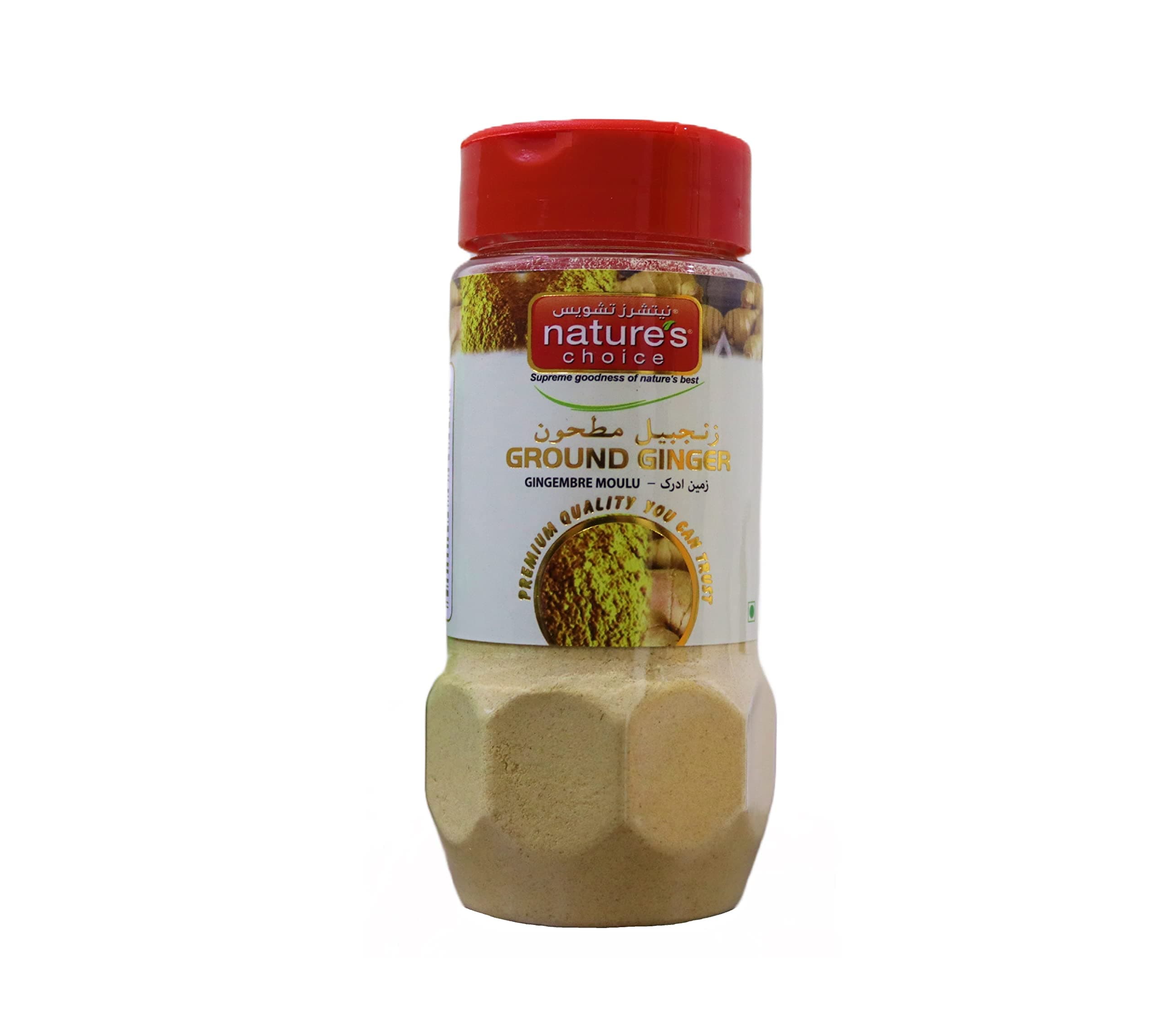 Natures Choice Ginger Powder - 100 gm