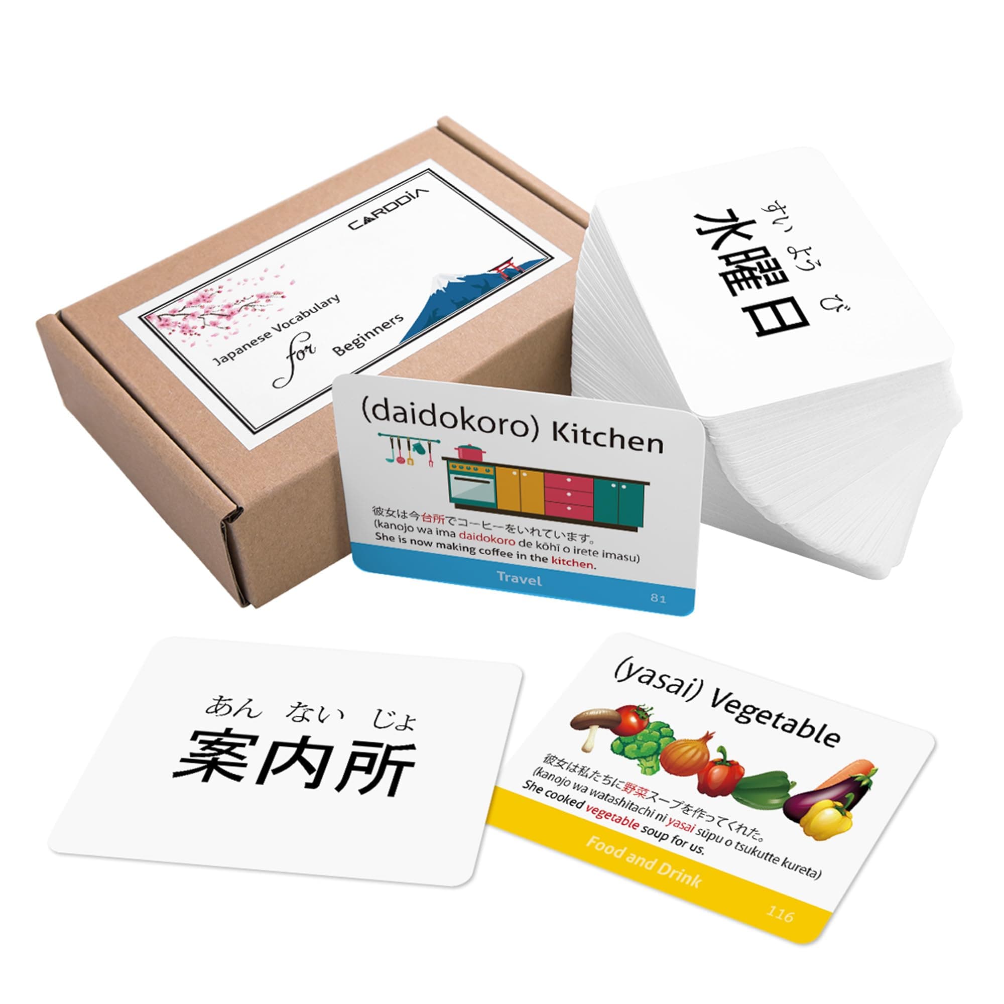 Japanese Vocabulary flashcards for Beginners (Illustrations - with example sentences)