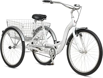 Schwinn Meridian
