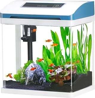 Small Fish Tank, 2 Gallon Glass Aquarium, Betta Fish Shrimp Goldfish Tropical Fish Starter Kit Self Cleaning with Filter & LED Plant Light, Ultra-Quiet Kids Room Decoration Fish Tank