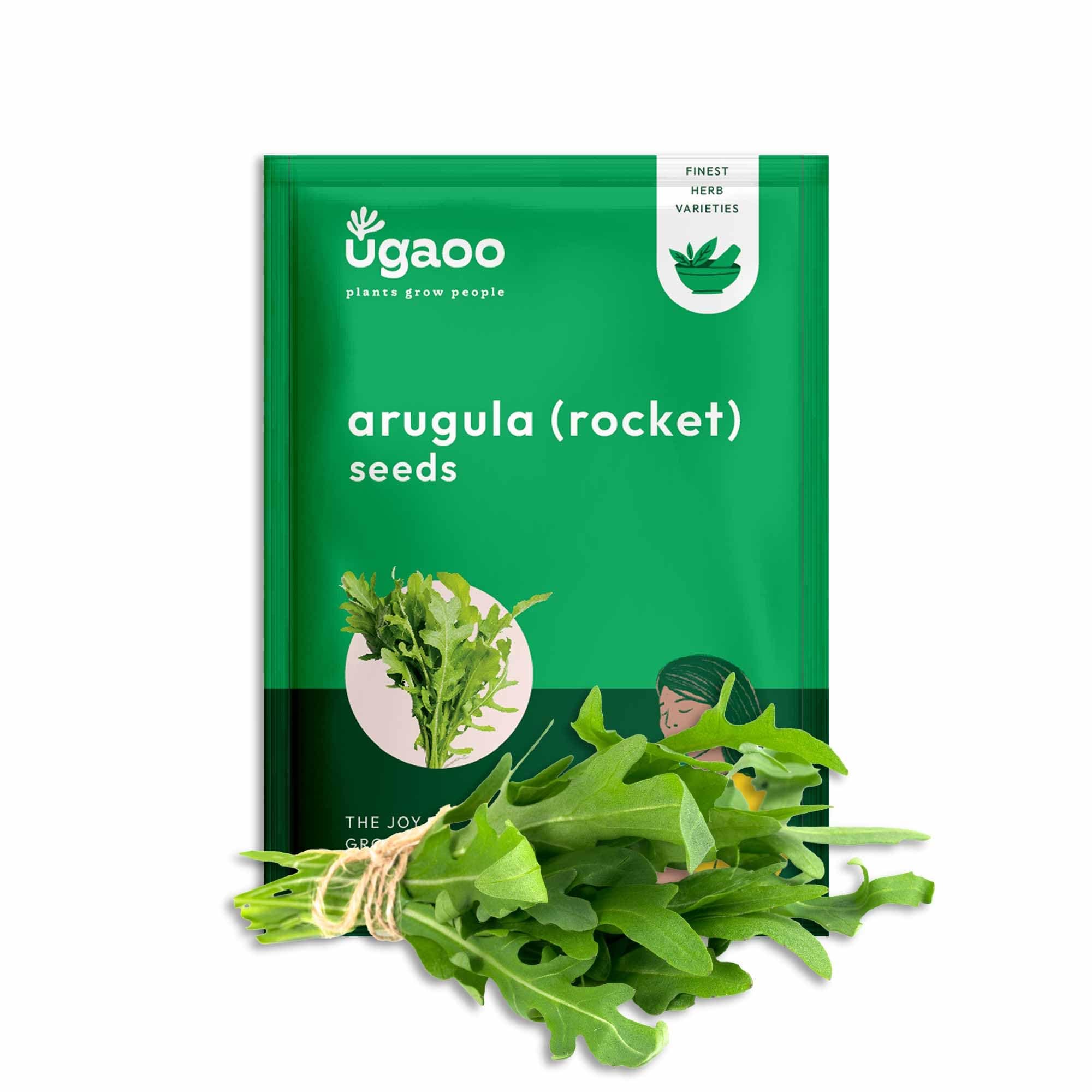 - Rocket Arugula Herb Seeds (Green, Pack of 1000)