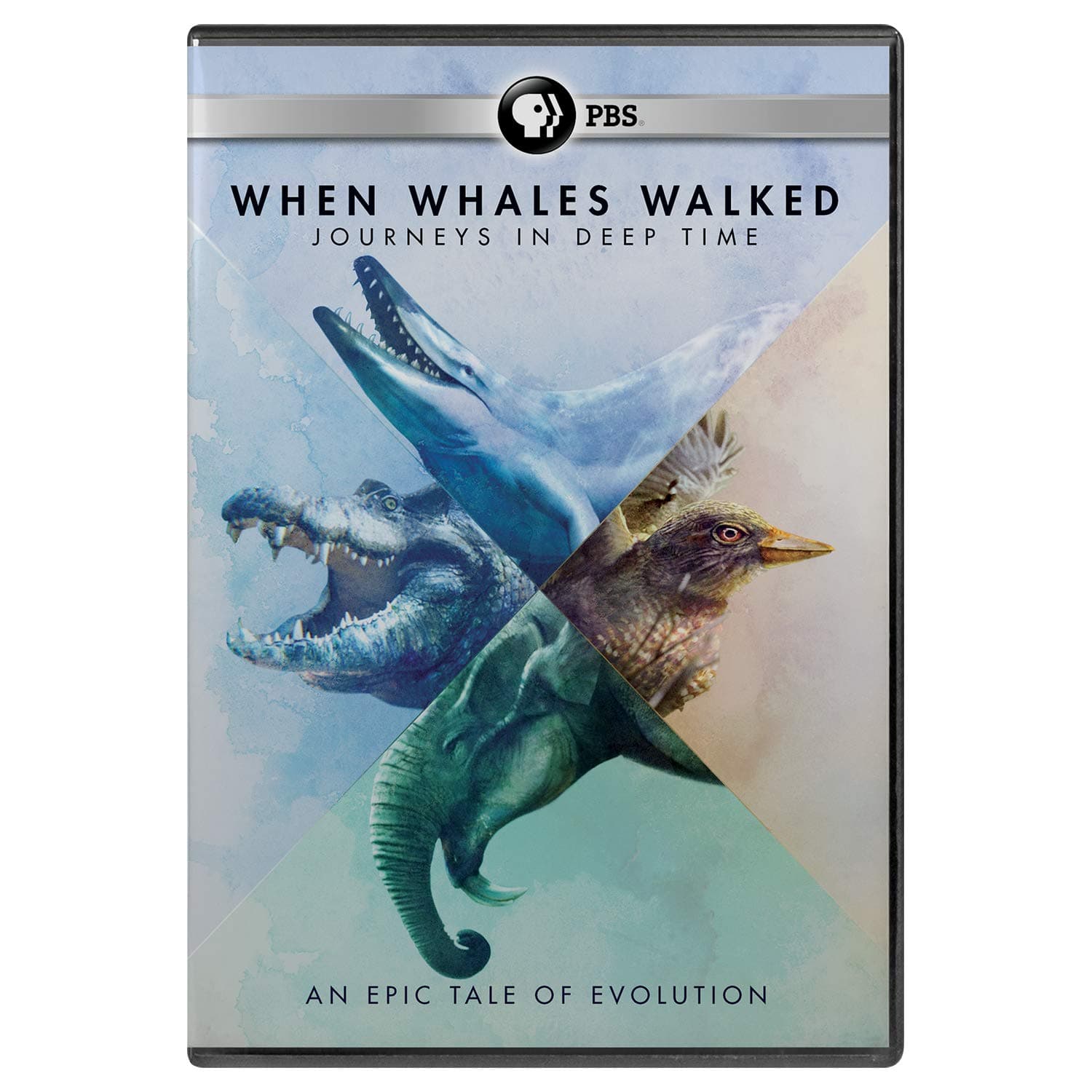 When Whales Walked: A Deep Time Journey DVD