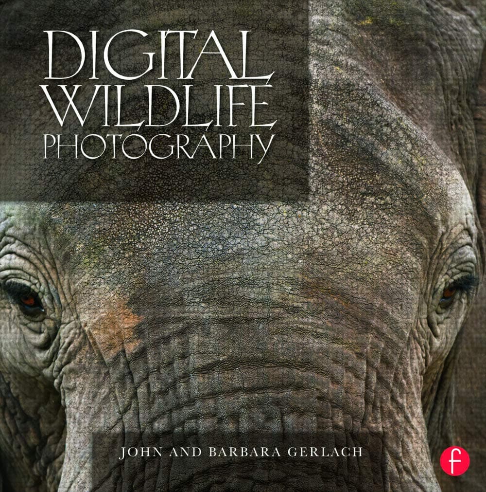 Digital Wildlife Photography 1st Edition