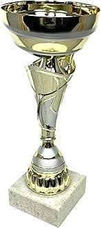 Express Medals 9.75 Inch Gold and Silver Trophy Cup - Event, Sport Tournaments, Competitions, Recognition Gift or Award, 9.75 Inches Tall x 3.9 Inches Wide. AMC335-C