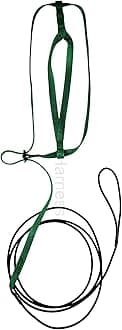 The AVIATOR Pet Bird Harness and Leash: X-Large Green