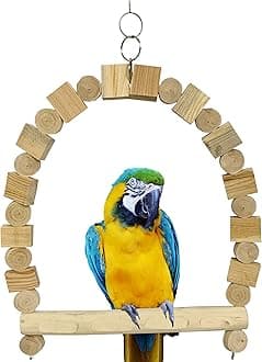 Congo Dotted Perch Chew Swing Parrot Toys for Macaw, African Grey, Cockatoo and Large Birds (Piece of 1)
