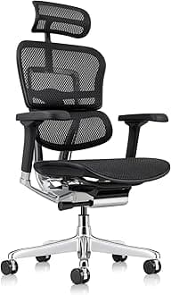 Ergohuman Eurotech ME7ERG GEN2 High Back Mesh Office Chair with Tilt Tension Control, Tilt Lock, Back Angle, Back Height, Synchro Tilt, Seat Height, Seat Depth, and Arm Height Adjustments, Black
