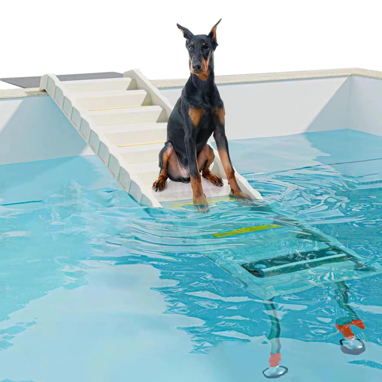 Foldable Dog Pool Ramp with 33" Legs for Free Height Adjustment,Safe & Easy Access Dog Water ramp for Pool, Pool Ramp for Dogs Up to 200lbs (White)