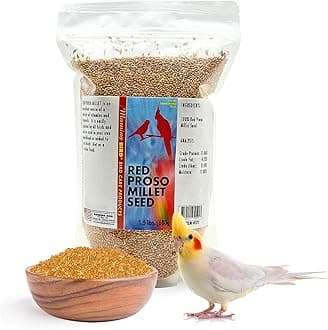 Morning Bird Red Proso Millet 1.5 lbs – Natural Bird Seed – Supports Feather Growth & Balanced Nutrition – Great Flavor, Energy Dense - Ideal for Finches, Parakeets & Pet Birds