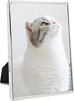 DECANIT 8x10 Picture Frame Metal, Thin Profile Photo Frame 8 by 10 Inch, Display for Wall or Tabletop,Silver