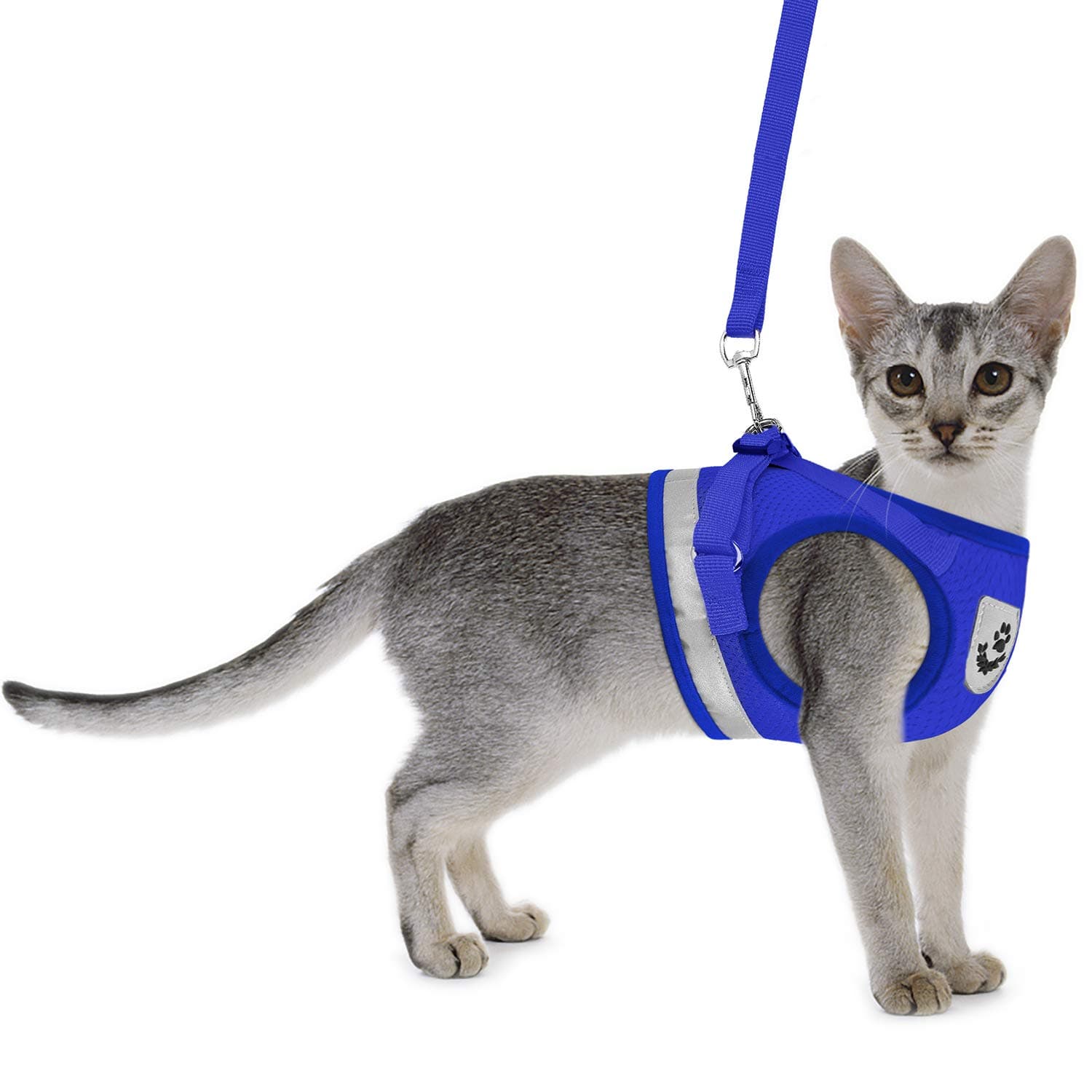 Cat Harnesses and Puppy Harness with Leashes Set, Escape Proof Cat Harness, Adjustable Reflective Soft Mesh Vest Fit Puppy Kitten Rabbit Ferrets's Outdoor Harness