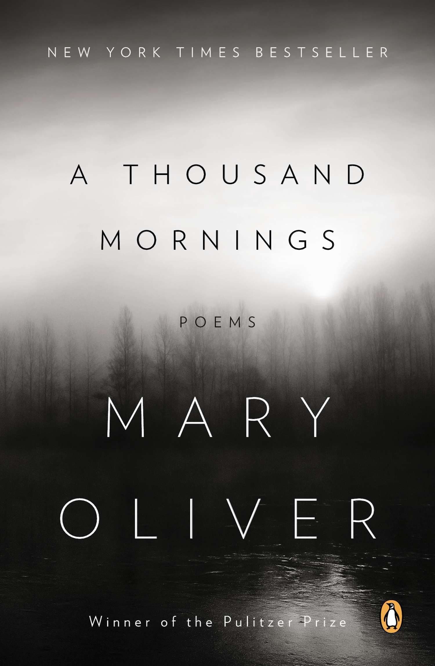 A Thousand Mornings: Poems Paperback – 24 September 2013