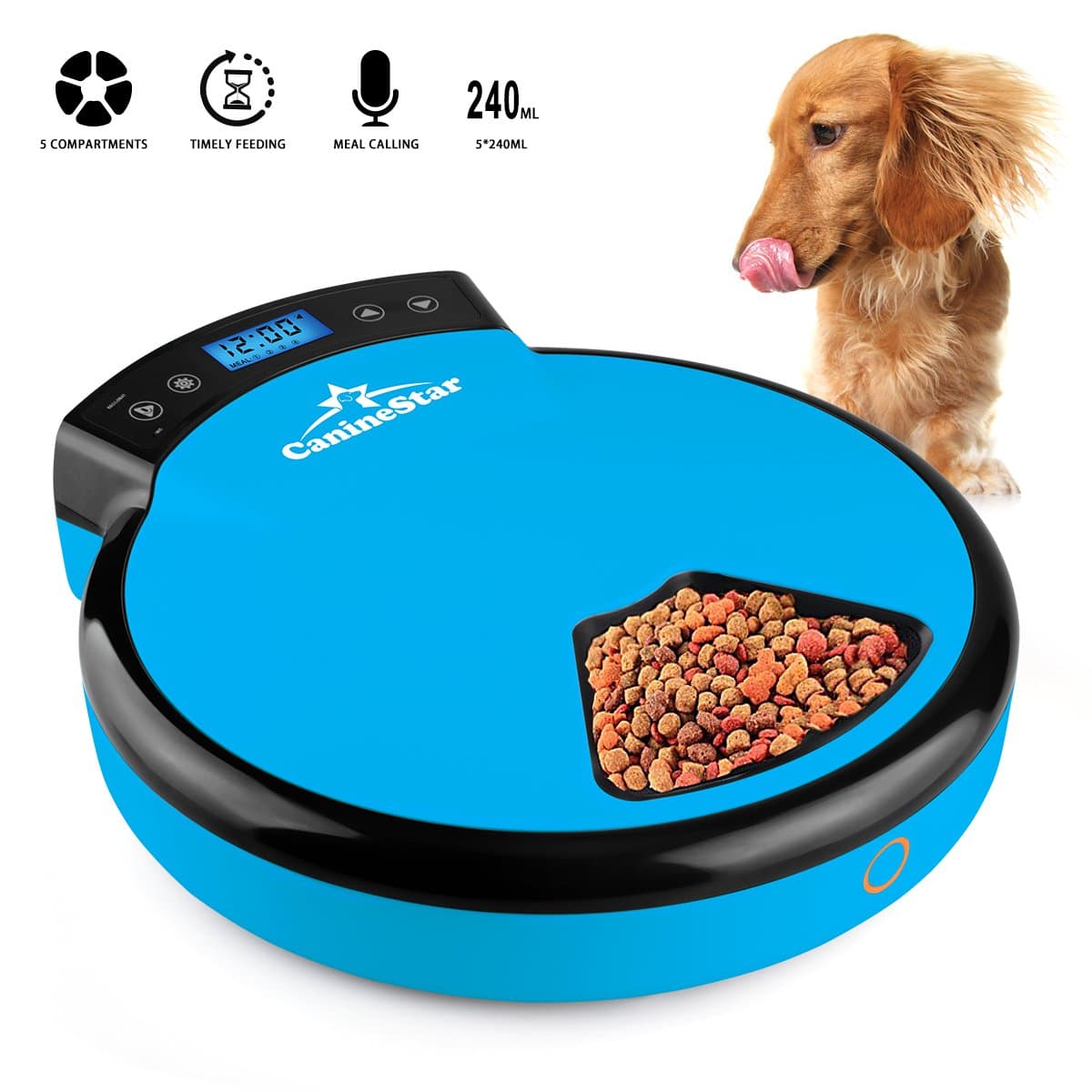 Automatic Pet Feeder Pet Dish with Intelligent Real Voice Recorder Timer Dry & Wet Food Dispenser with LCD Display and 240ML 5 Capacity for Cats, Dogs, and House Animals (Blue)