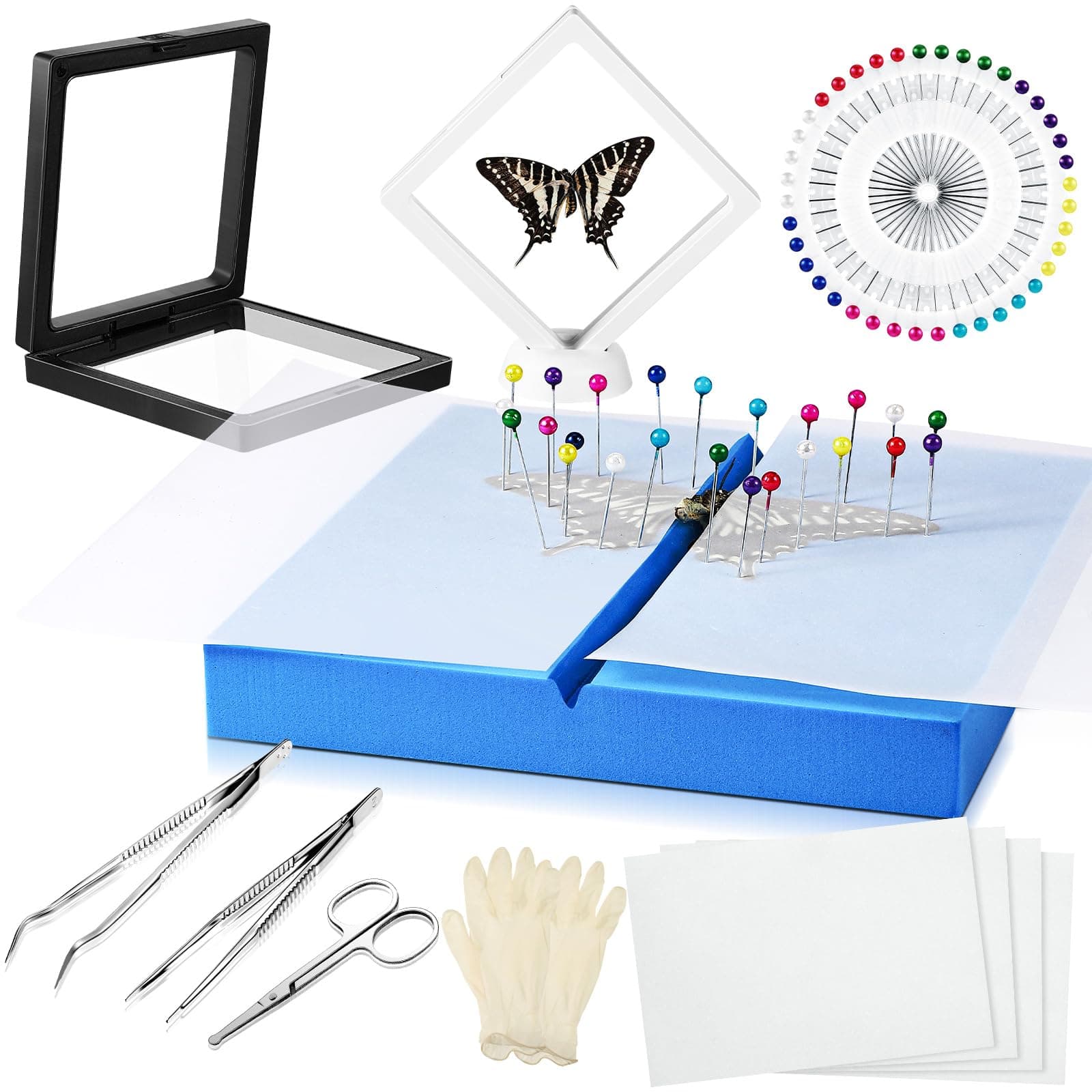 Insect Specimen Tools Kit Butterfly Specimen for Classroom Teaching Insect Pins Wings Pressing Paper Tweezers Scissors Gloves Insect Display Case Insect Collection for Bug Biology Projects