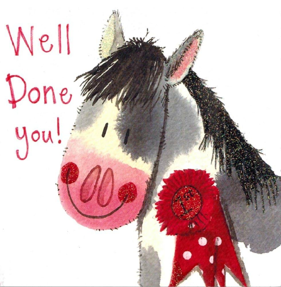 Alex Clark Art Horse Well Done Note Card Set of 6 Cards 4.75 in X 4.75 In