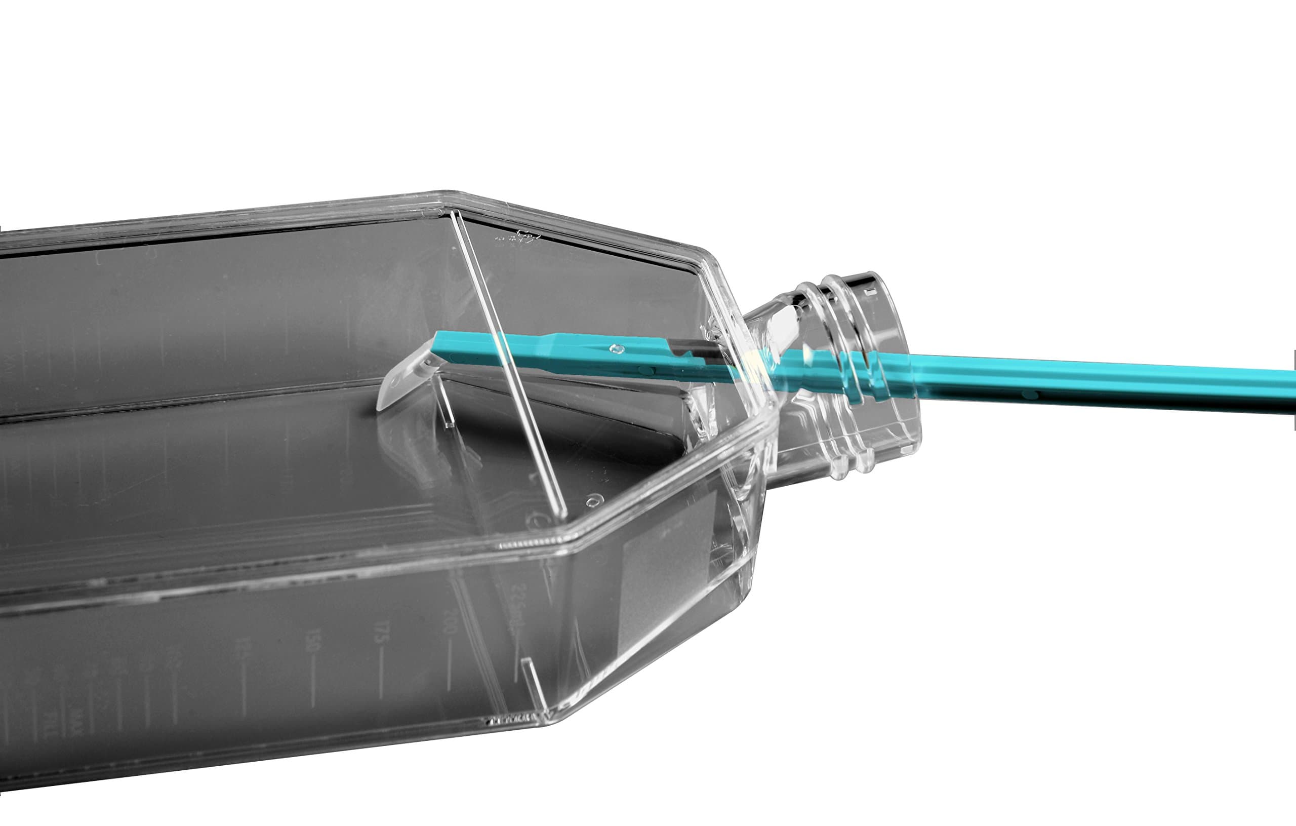 Azzota Cell Scraper, Handle 280mm, Blade 20mm, Sterile, Individually Packaged, 10/pk