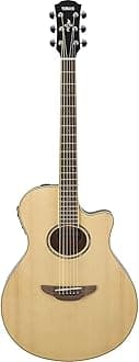APX600 NA Thin Body Acoustic-Electric Guitar, Natural