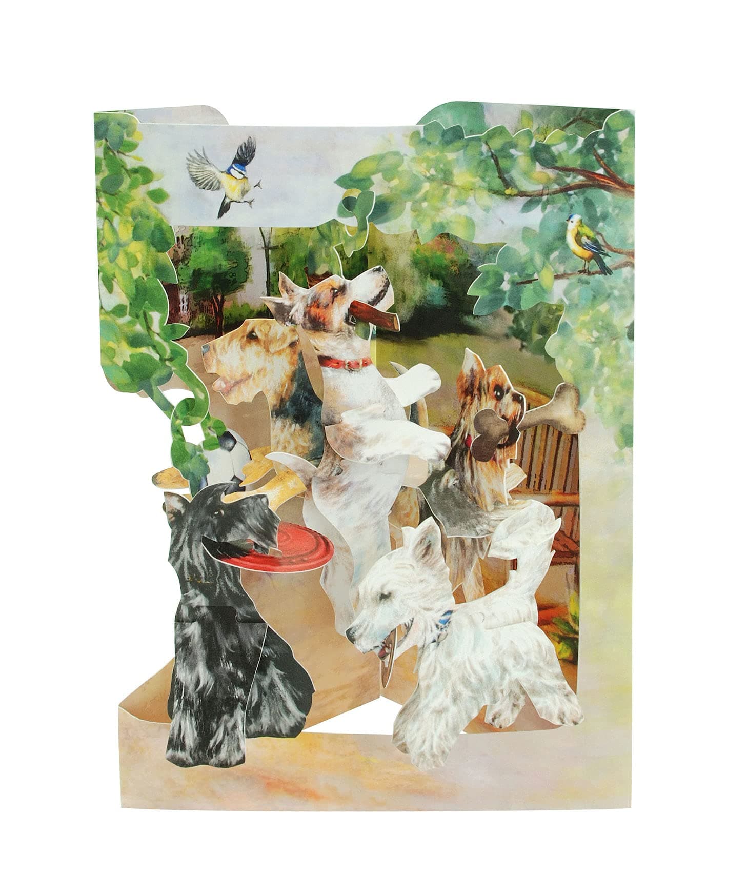 SANTORO Swing Card, 3D Pop Up Greeting Card - Terriers Playing - For Her, For Him, Mother's Day, Father's Day | Dog Birthday Card Kitchen & Home
