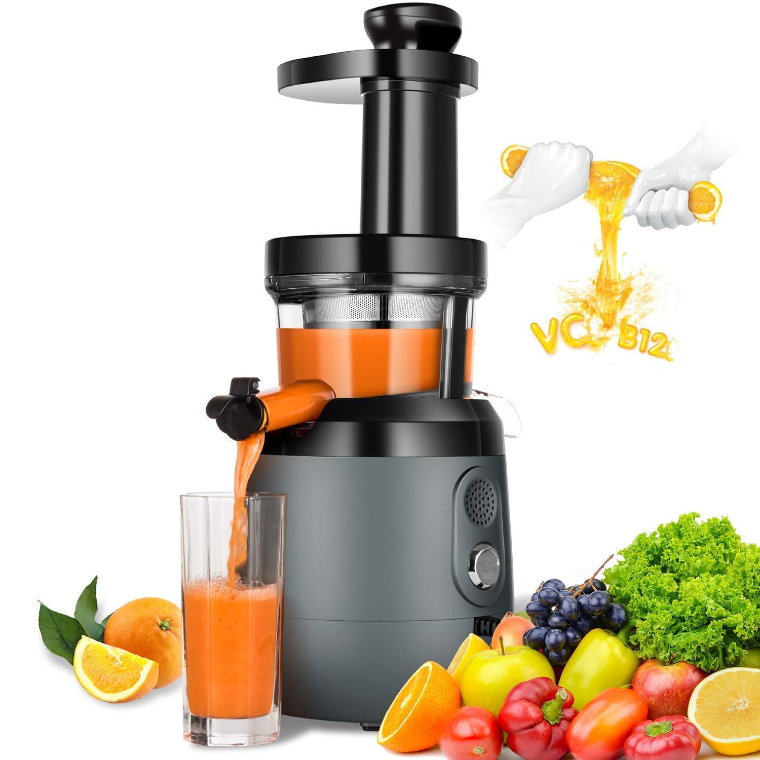 Slow Masticating Juicer Extractor, HAYKE Juicer with Quiet Motor and Brush to Clean Easily, Cold Press Vertical Juicer Machine for High Nutrient Fruits and Vagetables