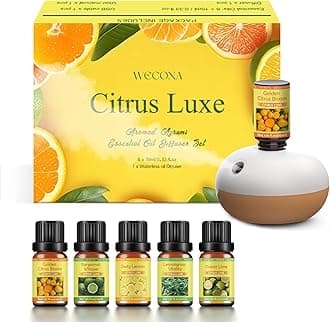 Rechargeable Waterless Oil Diffuser - 2 Mist Modes Essential Oil Diffusers with 6 Essential Oils(10ml) for Home,Car,Office - Scent Diffuser Starter Kit